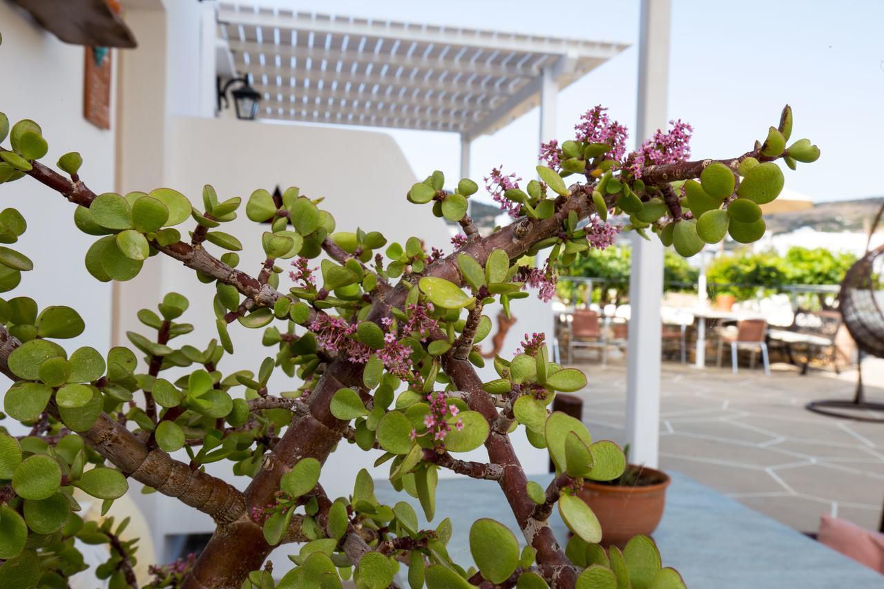 Irini Pension Platis Gialos  Εξωτερικό φωτογραφία